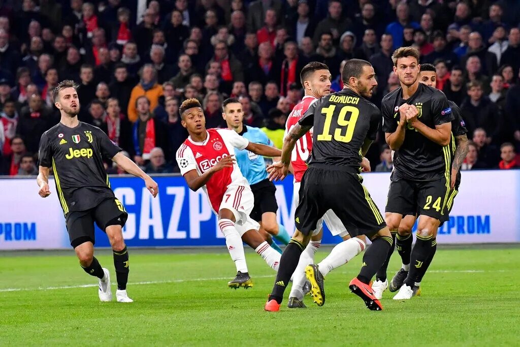 Live juventus vs psv. Live juventus vs psv. Live juventus vs psv. Ювентус фото. Live juventus vs psv.
