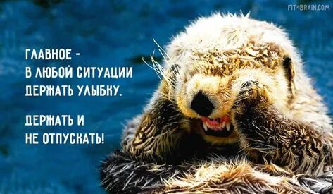 Поможет вам в любой ситуации