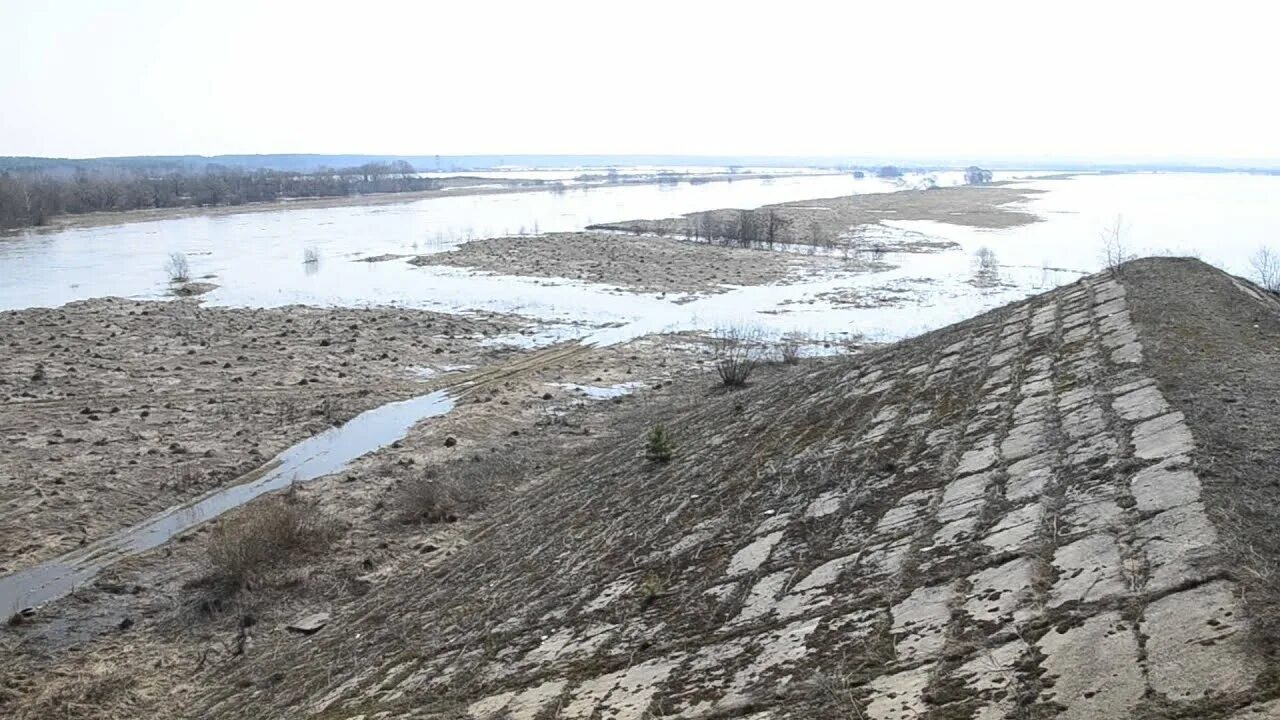 Разлив реки Протва. Разлив угры в Калуге. Угра половодье.