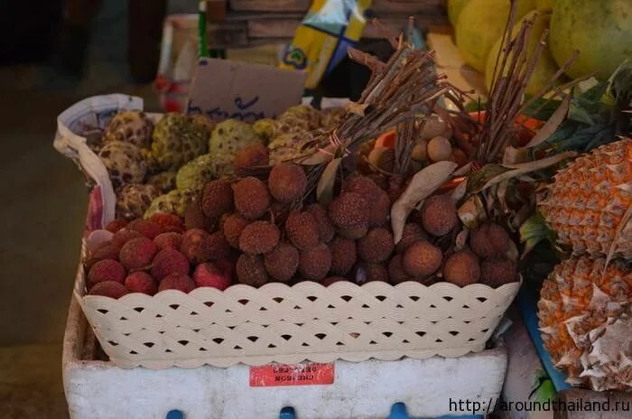 Можно вывозить фрукты из тайланда в россию. Фрукты Тайланда личи. Личи из Тайланда. Фрукт из Тайланда в скорлупе. Ягода из Тайланда в скорлупе.