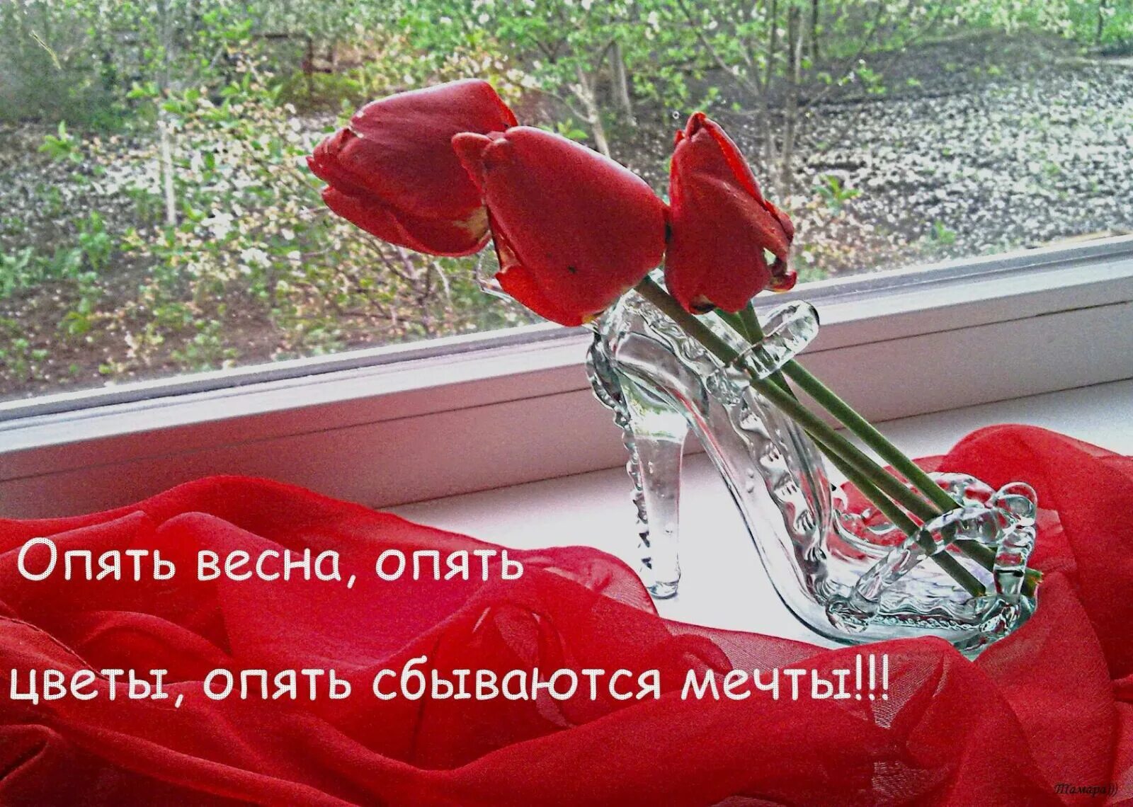 Смешной букет цветов. Среда пришла неделя. Цветы за спиной мужчины. Картина букет в руке. Мемы про растения.