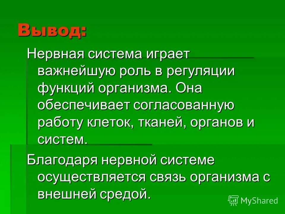 Нервная система человека строение и функции. Перечислите основные функции нервной системы. Основные функции нервной системы человека кратко. Нервная система презентация. Перечислите основные отделы нервной системы человека и их функции.