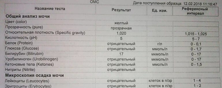 Лейкоциты в моче 2 триместр