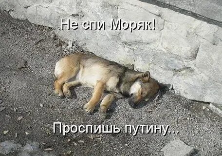 Сплю без просыпа ем