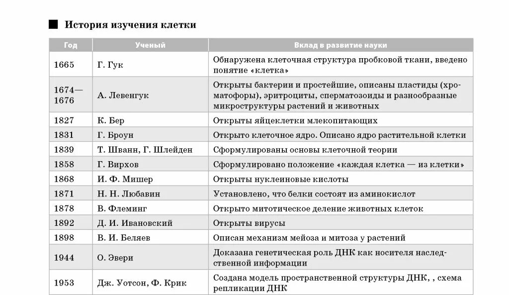 История изучения клетки таблица. История открытия клетки таблица этапы изучения клетки. История изучения клетки клеточная теория 10 класс таблица. История открытия клетки таблица.