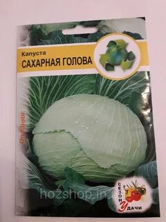 Капуста сахарная описание сорта фото