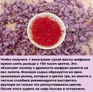 Шафран польза