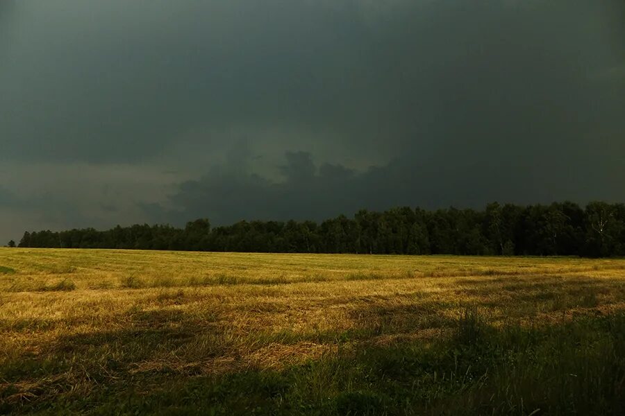 Плохо перед грозой. Плохо перед грозой