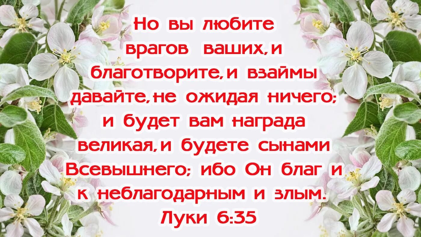 Благословляйте обижающих вас. Христианские открытки и ободрения. Библейские стихи. Христианские открытки о любви к ближнему. Стихи из Библии.