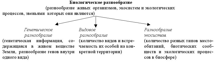 Количество видового разнообразия. Схема уровней биологического разнообразия. Показатель биоразнообразия экосистемы таблица. Основные уровни биологического разнообразия. Уровни биоразнообразия схема.