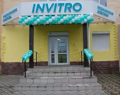 Инвитро олимпийский старый телефон