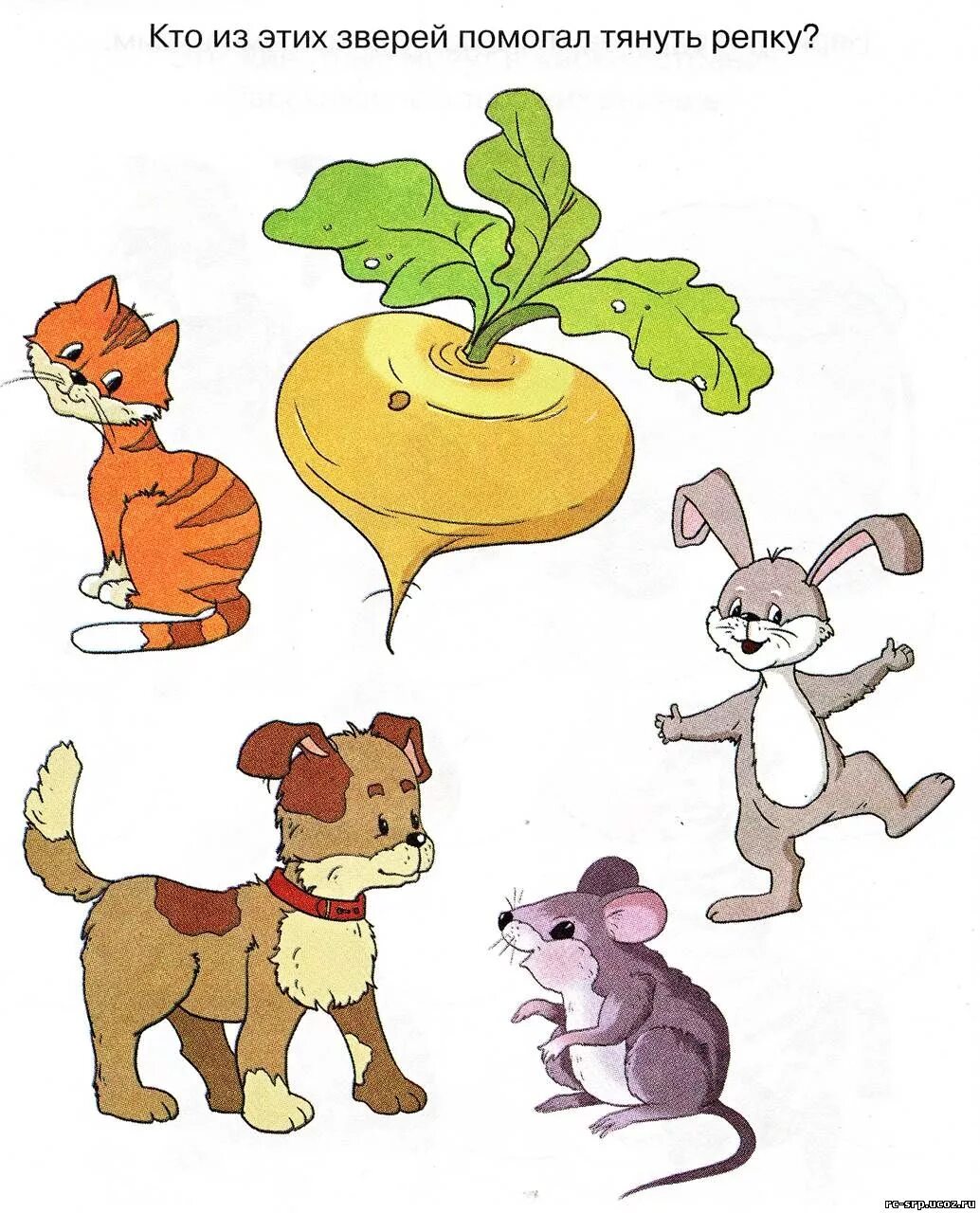 пластилиновые заплатки овощи и фрукты. репка раскраска для детей. репа рисунок. репка для детей 2 3 лет. репка раскраска для детей.