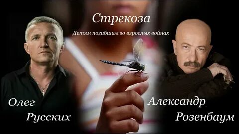 Розенбаум песня стрекоза
