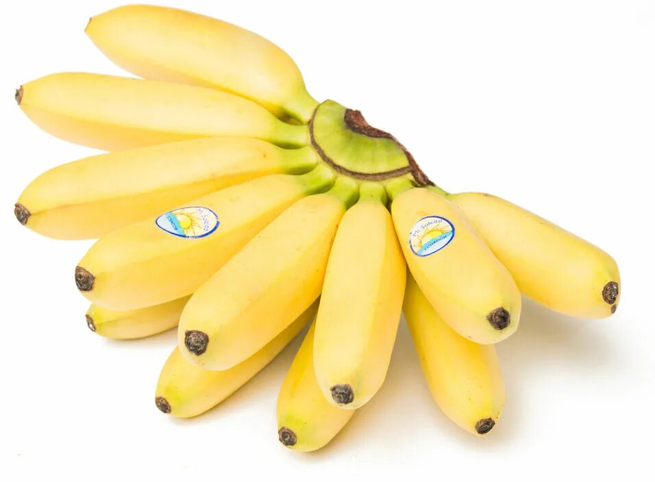 Где можно купит банан. Банан и мини банан. Мини бананы Эквадор. Мини бананчики. Бананы мини, 1 кг.