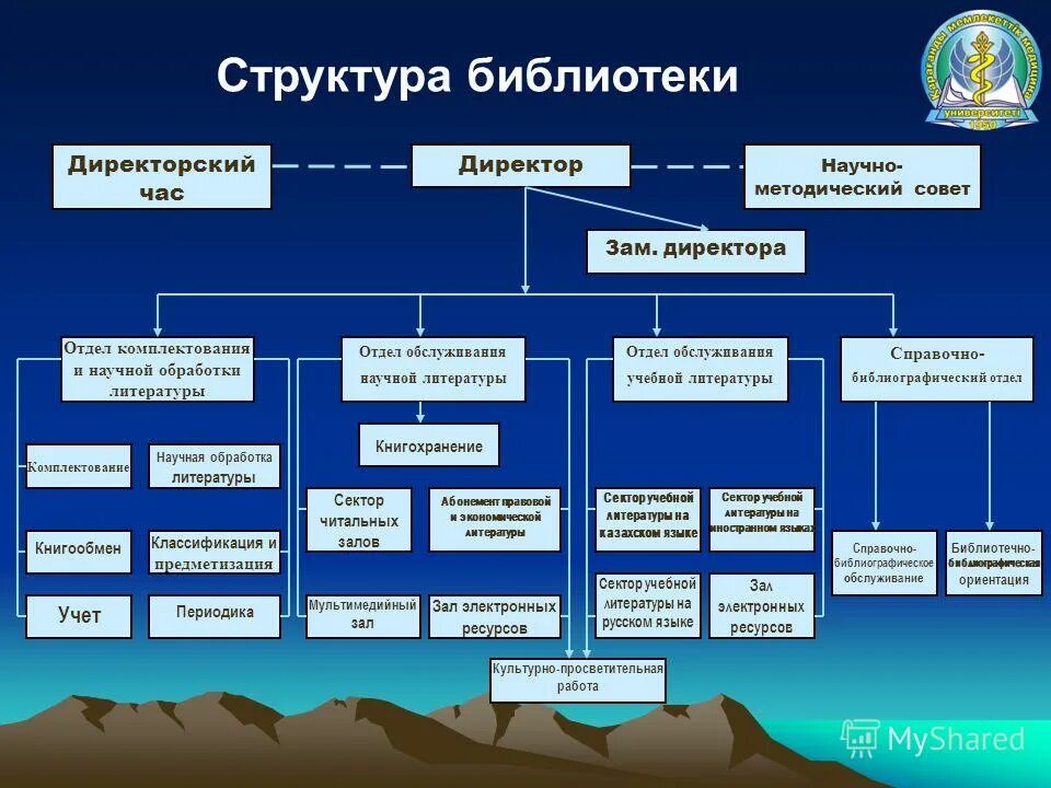 Организационно штатная структура библиотеки. Структурные подразделения библиотеки. Организационная структура библиотеки схема. Иерархия библиотеки.