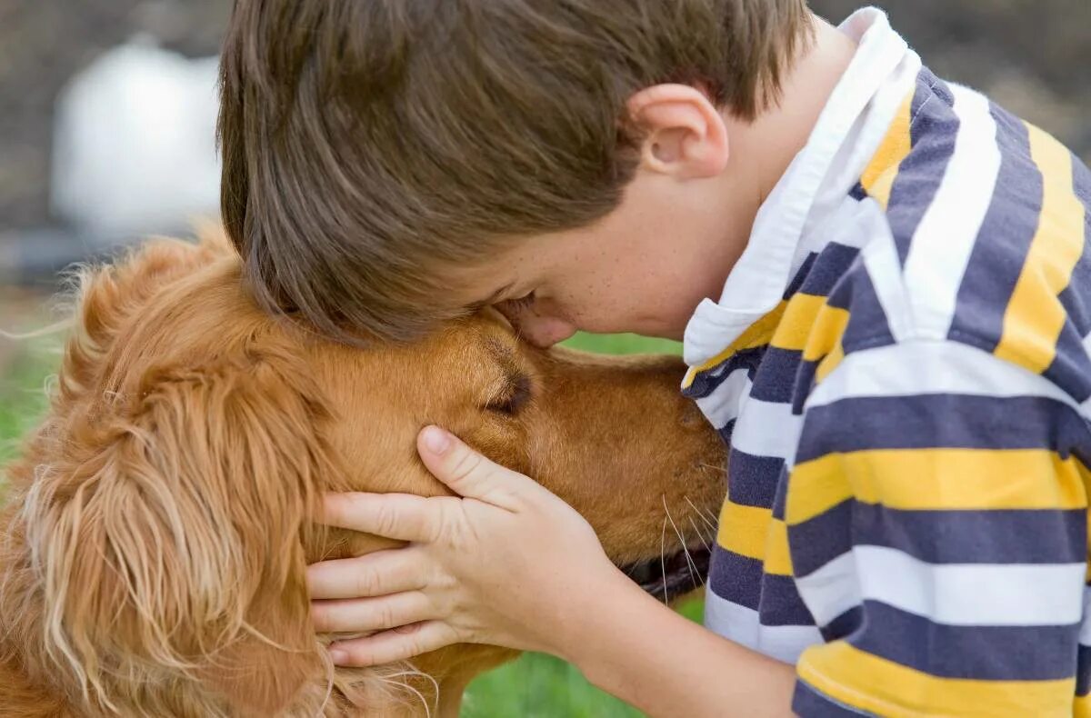 Обнимать собаку. Забота о животных. Любовь к животным. Люди и животные. Животные друзья человека.