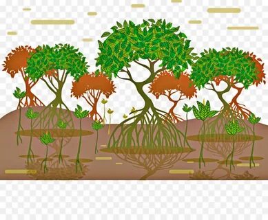 Plant community