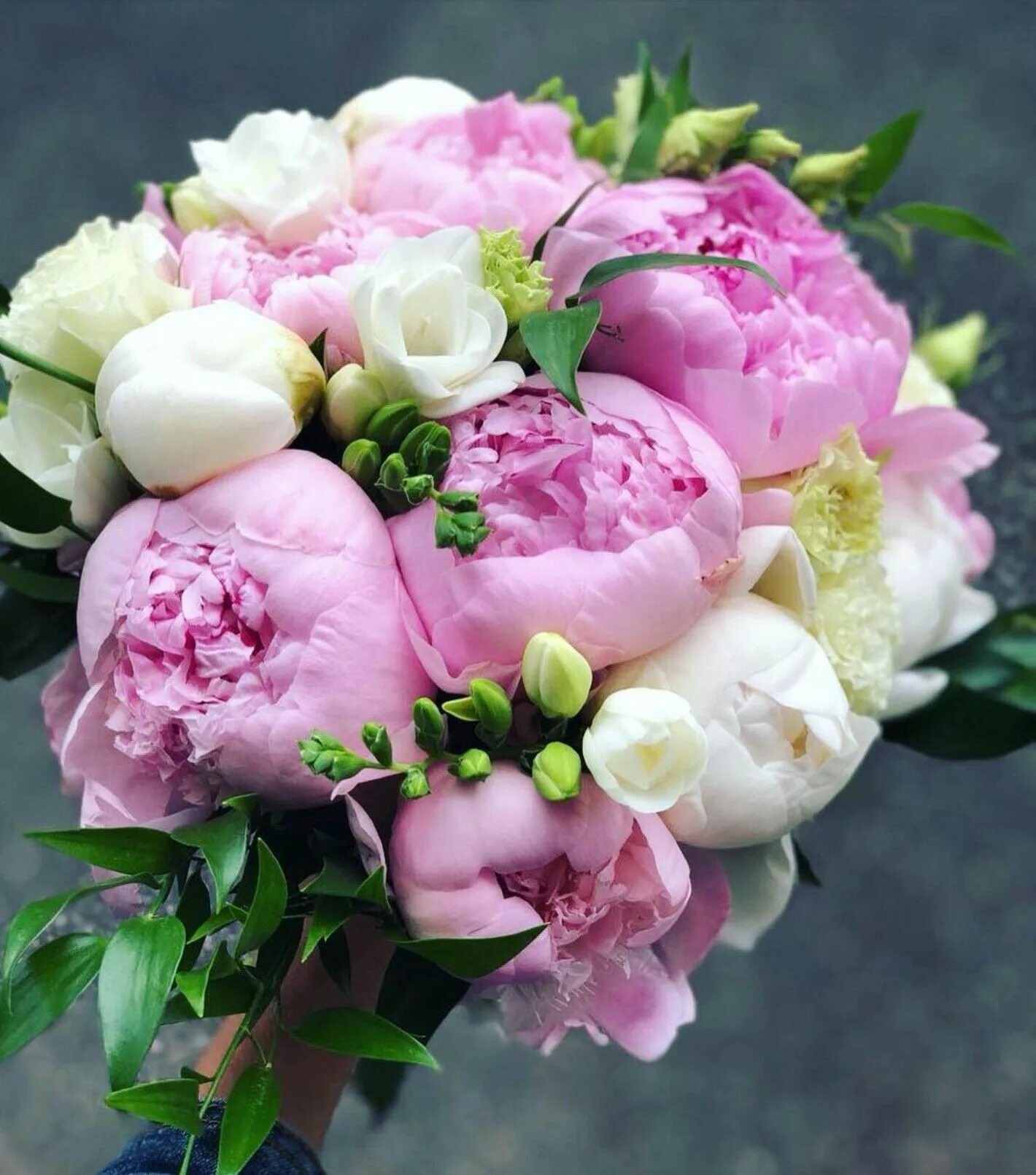 Букет розовые пионы. Цветы пионы женщине. Цветы пионы женщине. Пион bouquet perfect. Цветы пионы женщине.