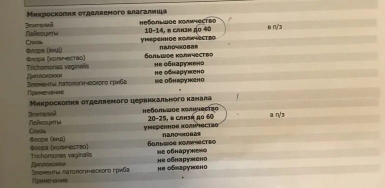 Микрофлора с преобладанием палочек. Флора мазка палочковая. микрофлора палочковая обильная в мазке что это.