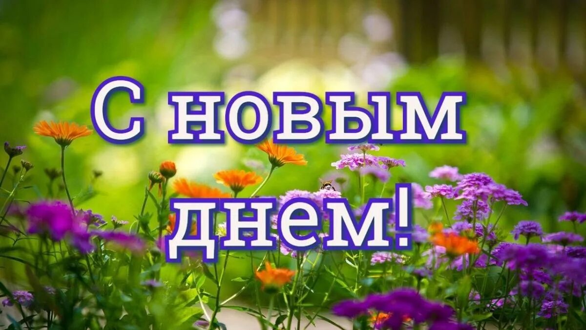 Новый день статьи. Здравствуй, новый день!. Открытки Здравствуй новый день. Здравствуй новый день доброе утро. Начинается новый день.