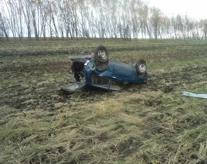 Родной край дрожжаное