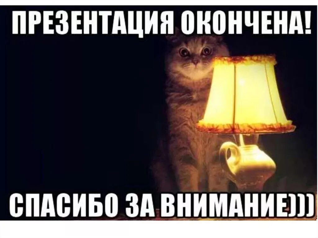 На встречу с ним я не надеялся. Спасибо за внимание смешные. Спасибо за внимание кот. Спасибо завнимани смешные. Спасибо за внимание для презентации смешные.