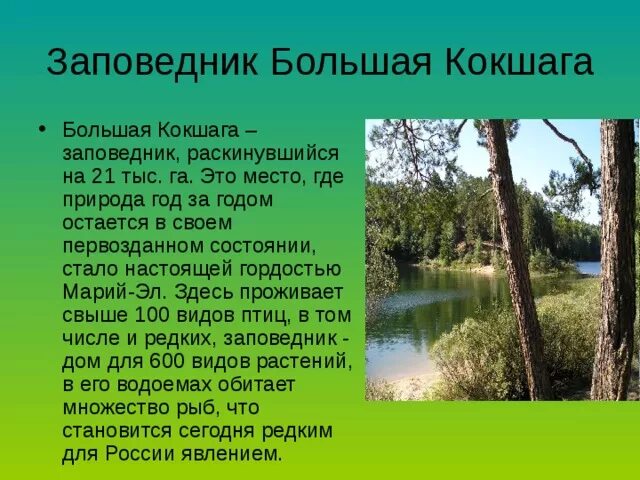 Какие заповедники есть в чувашии