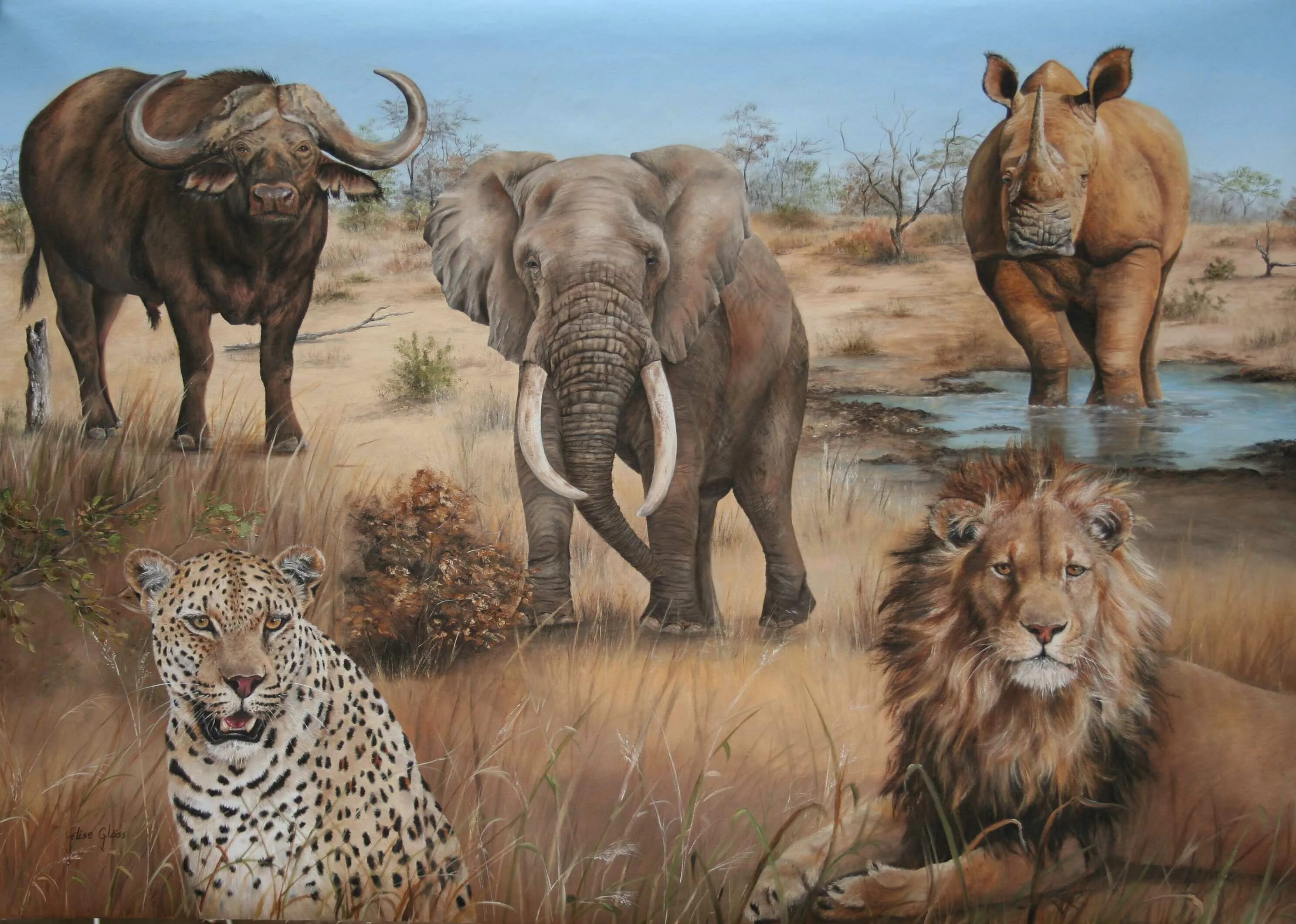 Большая пятерка Африки сафари. Охота сафари Африканская большая пятерка. Большая пятерка животных Африки. Слон буйвол носорог Лев леопард. Пятерка африки
