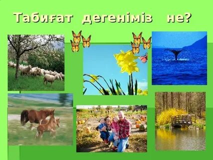 Анал түкті әже