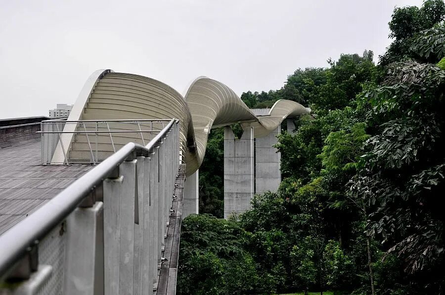 тревор хендерсон творения. мост хендерсон вэйвз (henderson waves), сингапур. мост волны хендерсона в сингапуре планы. Henderson waves сингапур. творение хендерсона.