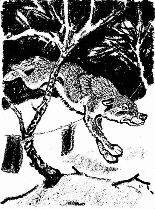 волк старый помещик. волк помещик кладовая солнца. рачев иллюстратор кладовая солнца. серый помещик кладовая солнца. серый помещик кладовая солнца.