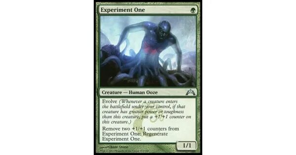 Experiment 1