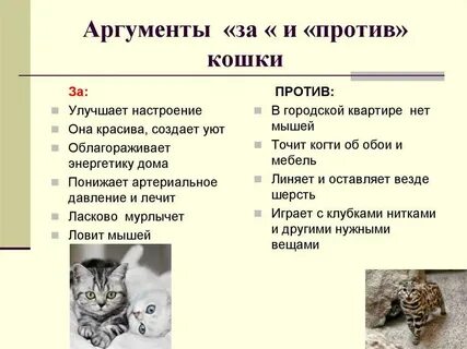 Подобрать котенка с улицы примета