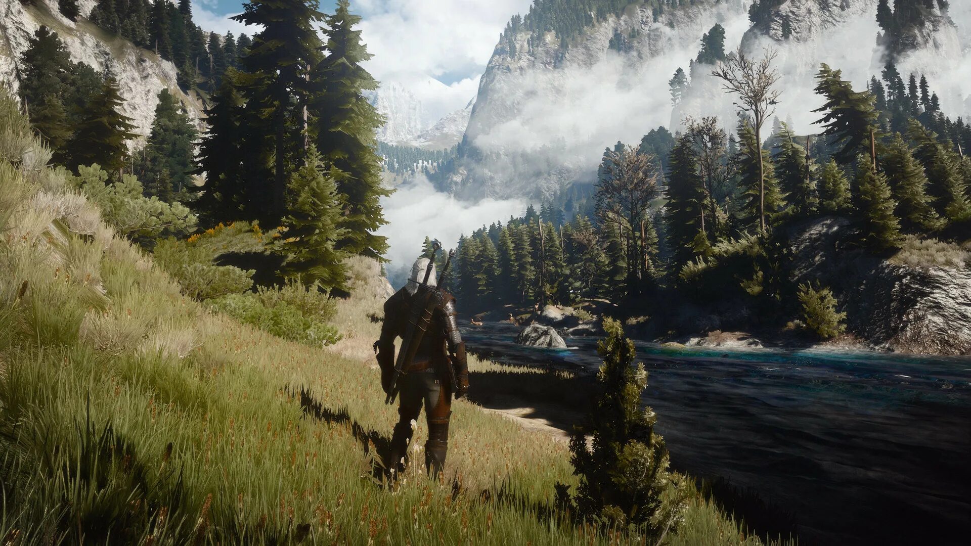 Witcher 3 v 4.04
