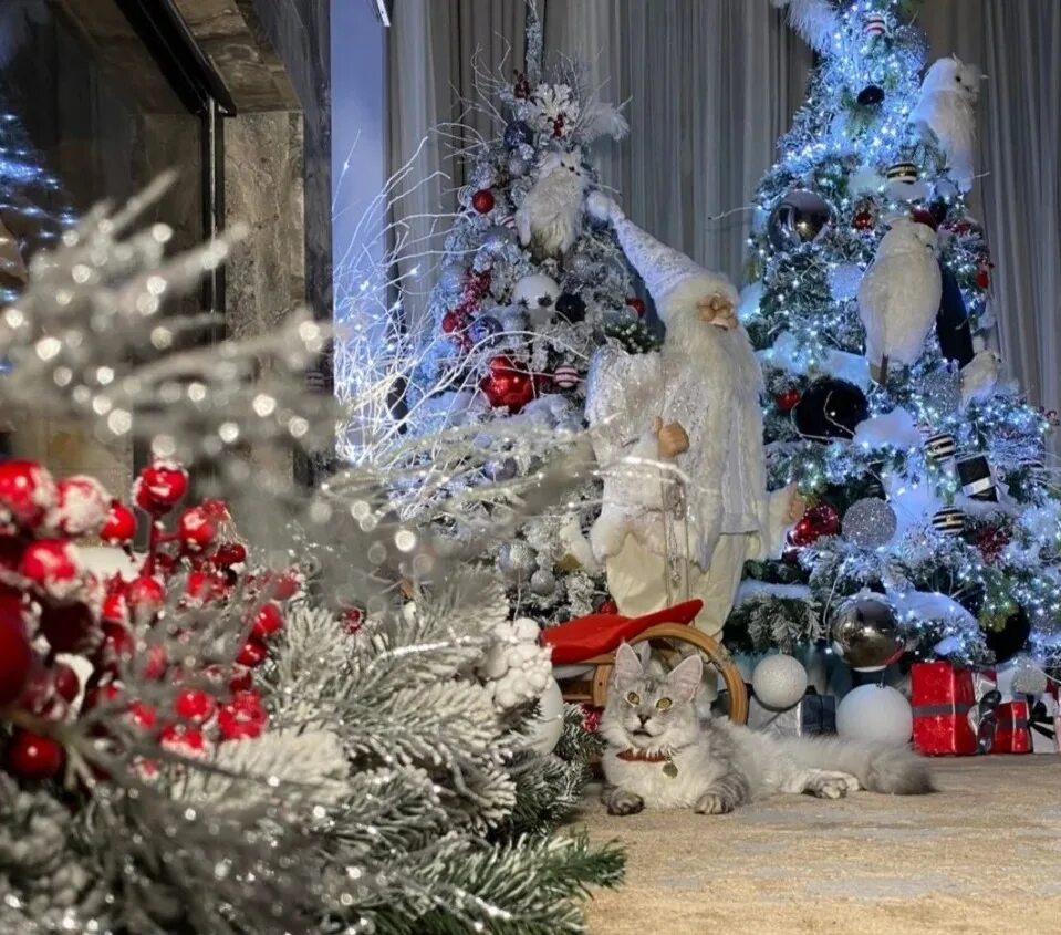 Украшаем елку. Елка в парке горького. Главная елка вашингтон 2021. Новогодняя елка. Наряжаем елку.