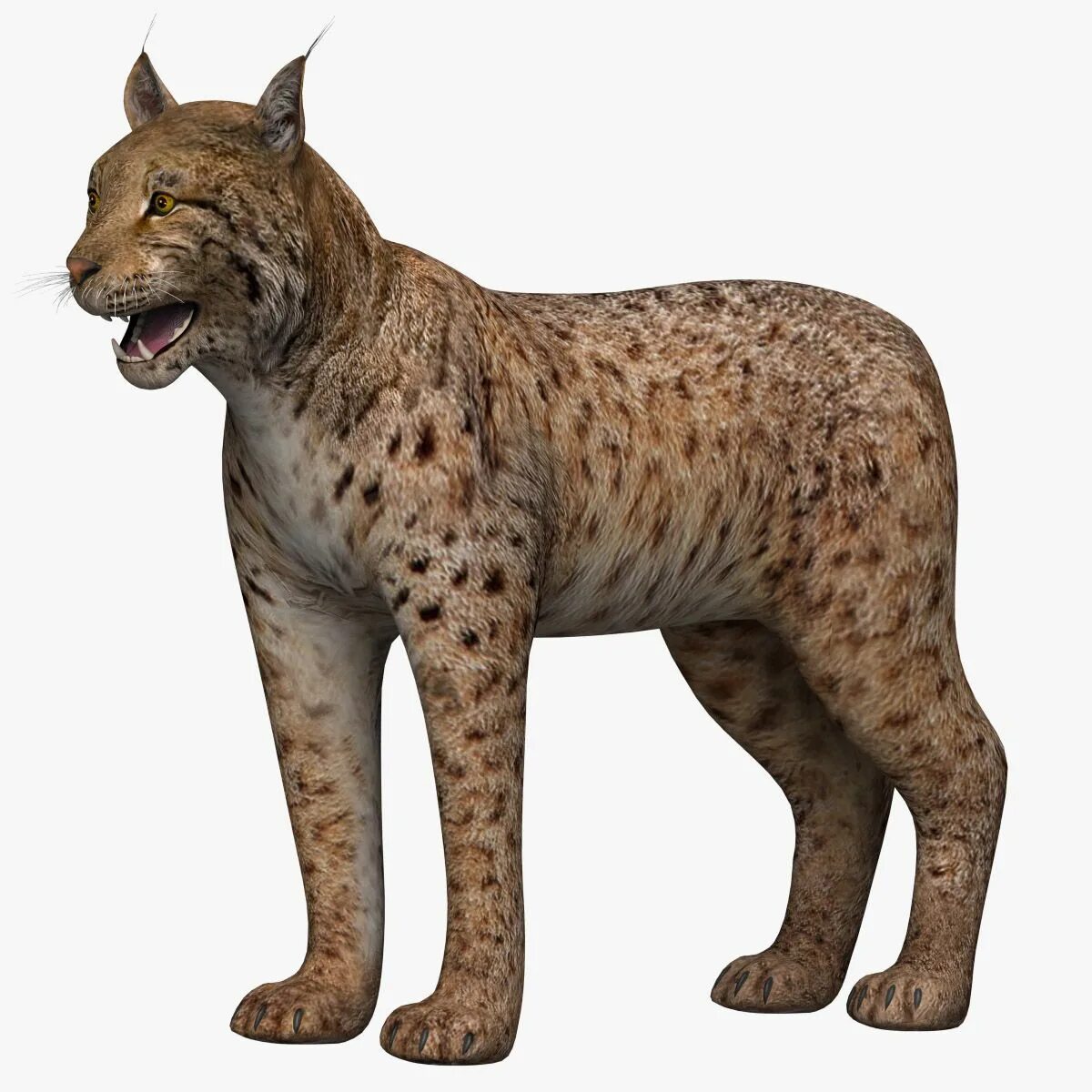 Рысь 3d. Lynx 3d model. СТЛ модель Рысь. Рысь STL.