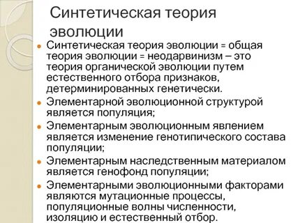 К синтетической теории эволюции относится утверждение