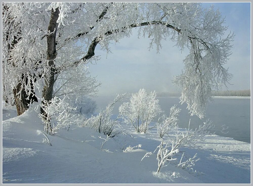 мороз сияем. зимний ночной пейзаж. снег искрится. снег искрится. ночь светла мороз сияет.