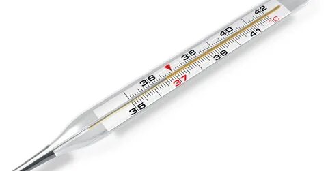 Galerie: V Česku propukla chřipková epidemie, zemřelo už deset lidí - Galerie - 