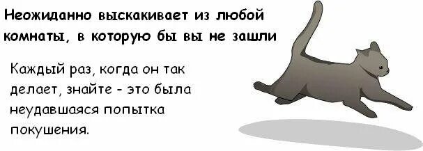 Как понять что ваш кот.