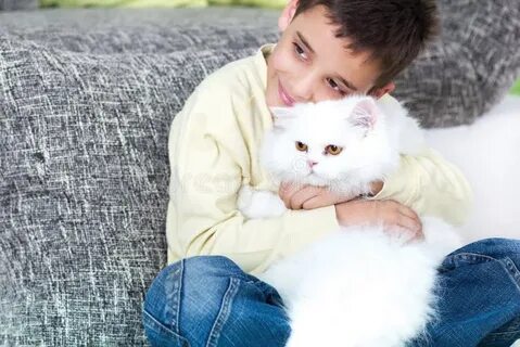 Котиков быстро
