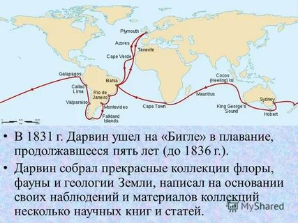 Ч дарвин путешествие на корабле