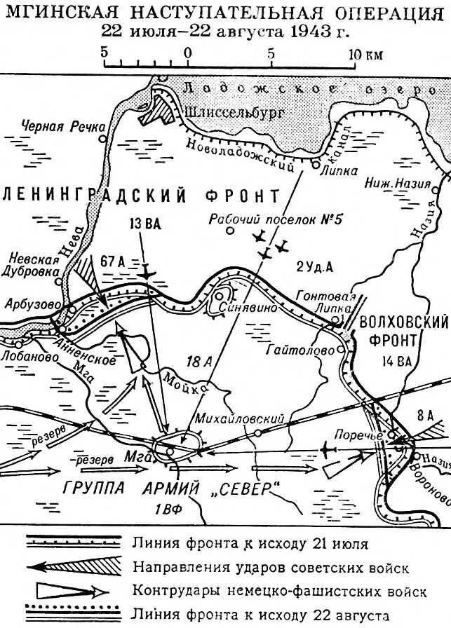 волховский фронт 1942 ркка. освобождение мга 1944. освобождение мги. освобождение мги. освобождение мги.