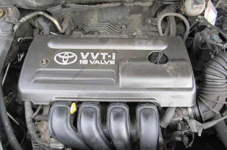 Toyota avensis двигатель болт болты. Крышка двигателя тойота королла 2008 года. Двигатель на тойота авенсис 2007. Тойота авенсис 2008 двигатель 2. Двигатель тойота авенсис 2008 1,8.
