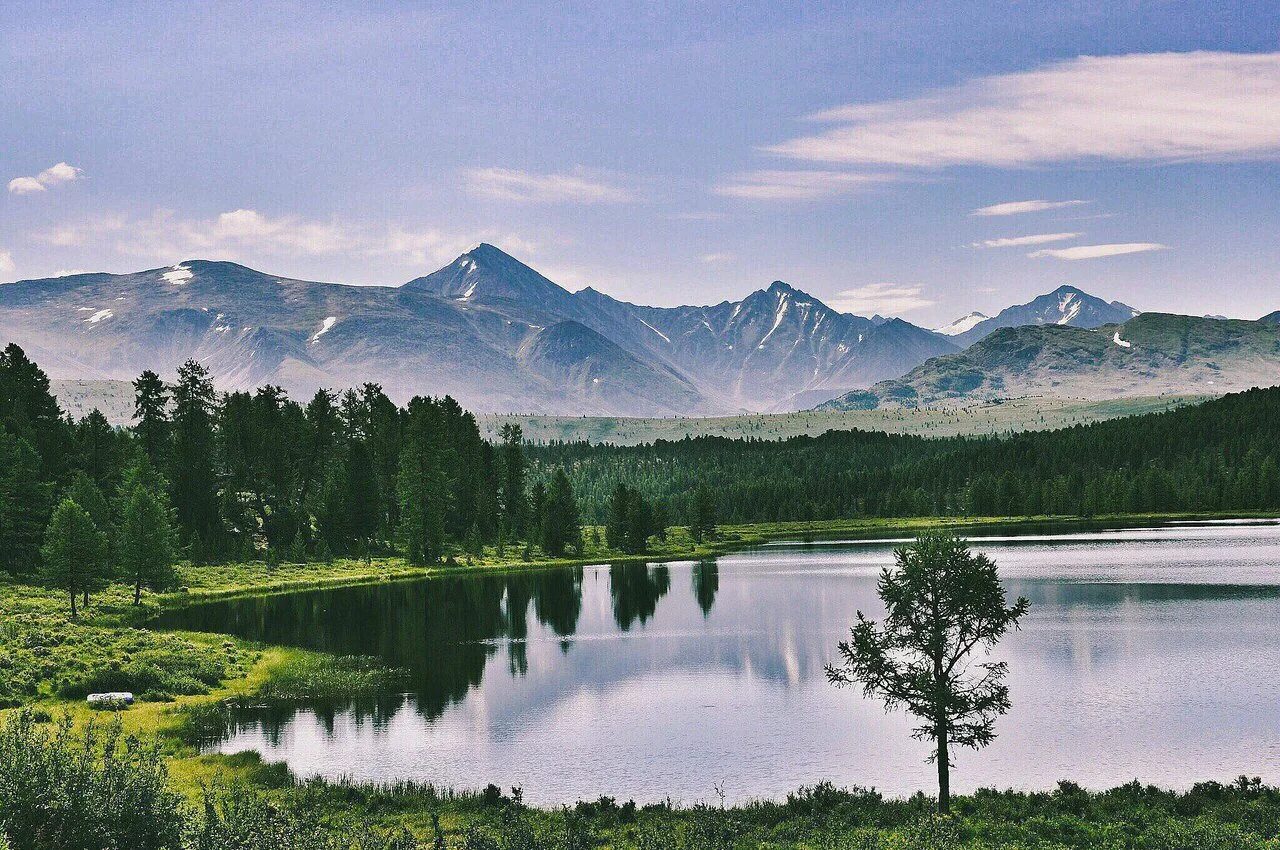 Алтай Сенс горный Алтай. Безымянное озеро Алтай. Гейзеровое озеро горный Алтай. Горный Алтай май 2023.
