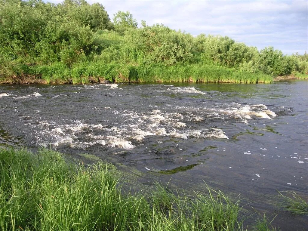 Перекат на реке фото. Перекат на реке. Перекат на реке. Липецк река, перекаты. Лесной перекат.