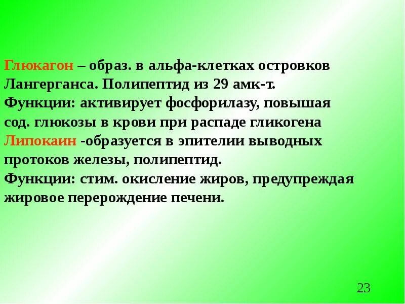 Бета-клетки островков лангерганса поджелудочной железы. Клетки поджелудочной железы вырабатывающие инсулин. Синтезирует глюкагон. Поджелудочная железа инсулин и глюкагон. Инсулин гормон поджелудочной железы.