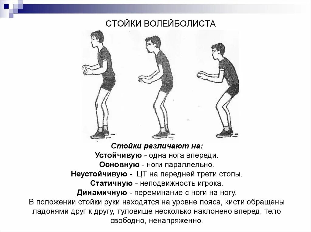 Основная стартовая стойка волейболиста. Типы стартовых стоек волейболиста. Основные стойки игрока в волейболе. Техника игры стойки в волейболе.