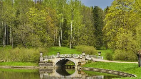 Park river санкт петербург