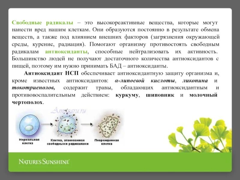 Которое появляется в результате их